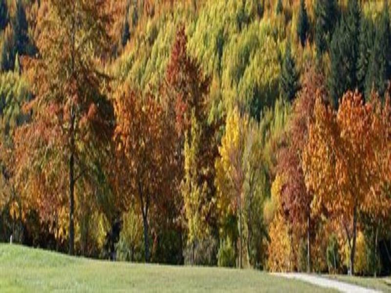 Hampshire Holiday Parks - Arrowtown Exterior foto